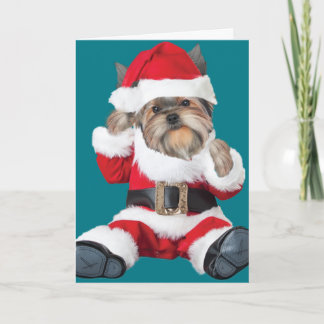 Yorkie Puppy Santa Helgkort