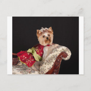 Yorkie Queen Vykort