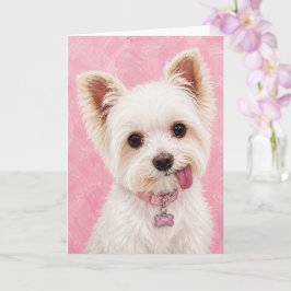 Yorkie Rainbow Bridge Sympatikort Kort