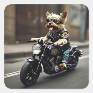 Yorkie Riding Motorcle Sticker Fyrkantigt Klistermärke