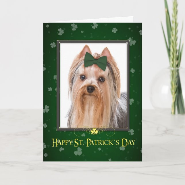 Yorkie St Patrick dagkort Kort (Framsida)