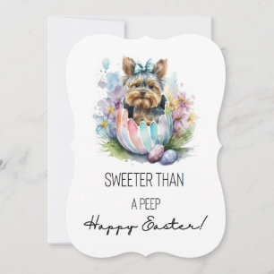 Yorkie Sweeter than a Peep. Glad påsk!