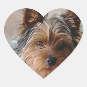 Yorkie Terrierklistermärke Hjärtformat Klistermärke