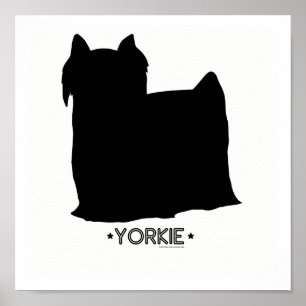 Yorkie tryck