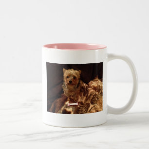 Yorkie Två-Tonad Mugg