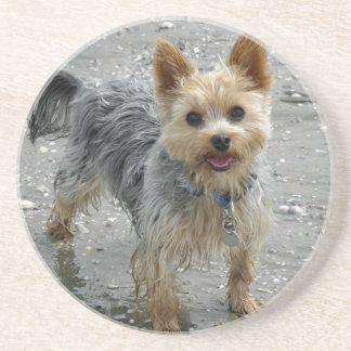 Yorkie Underlägg
