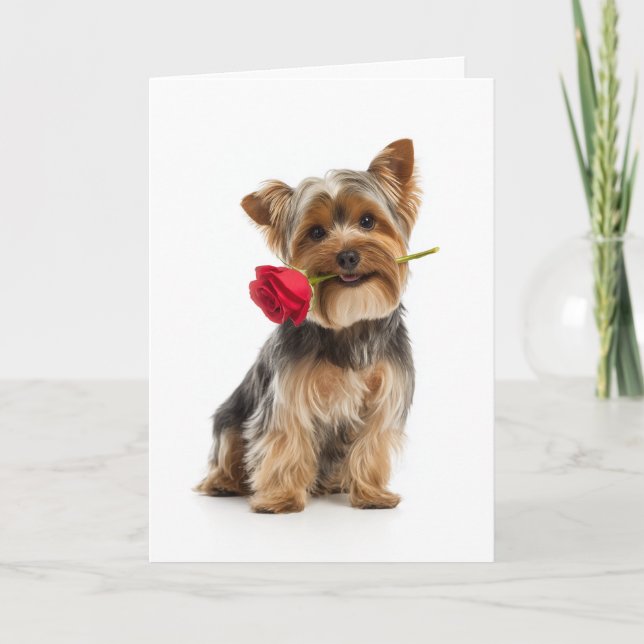 Yorkie Valentine - Liten hund, stor kärlek Kort (Framsida)