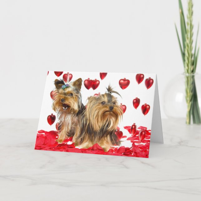 Yorkie valentinkort helgkort (Framsida)