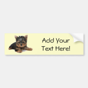 Yorkie valp bildekal