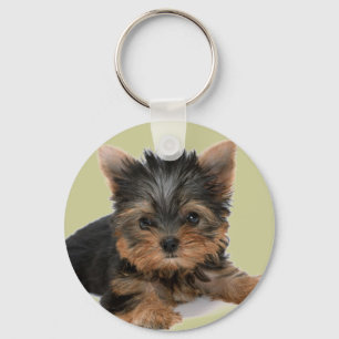 Yorkie valp nyckelring