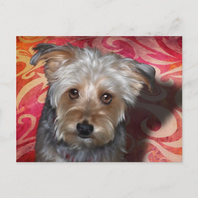 Yorkie Vykort (Framsida)