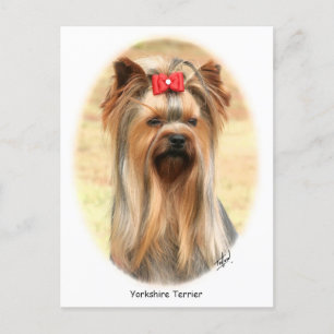 Yorkie Vykort
