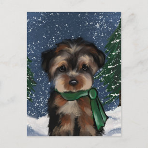 YORKIE VYKORT