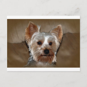 Yorkie Vykort