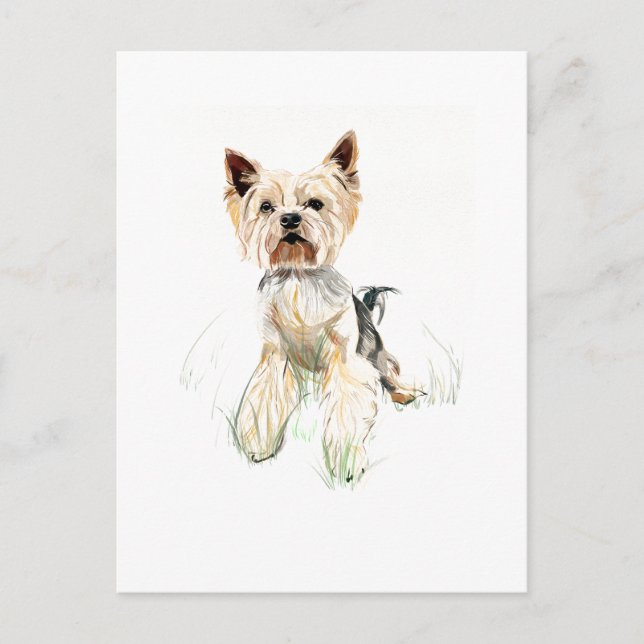 Yorkie vykort – Yorkshire Terrier, hundförälder (Framsida)