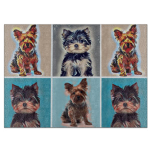 Yorkie Yorkshire Terrier
