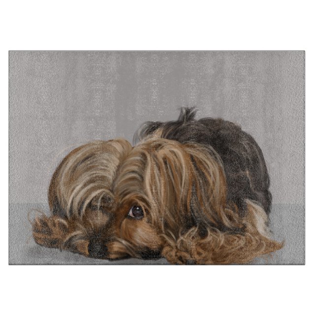 Yorkie, Yorkshire Terrier (Framsidan)