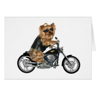 Yorkie Yorkshire Terrier Biker Hälsningskort