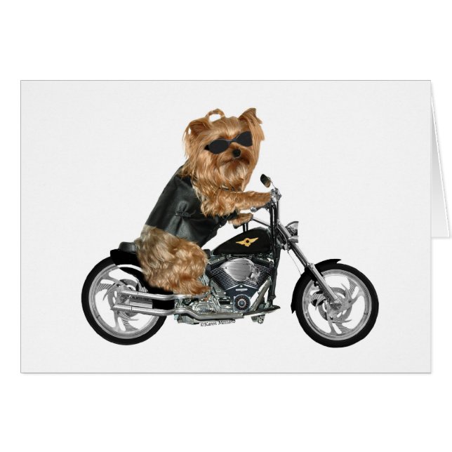 Yorkie Yorkshire Terrier Biker Hälsningskort (Framsidan Horizontal)