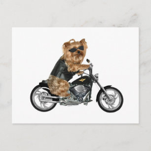 Yorkie Yorkshire Terrier Biker Vykort