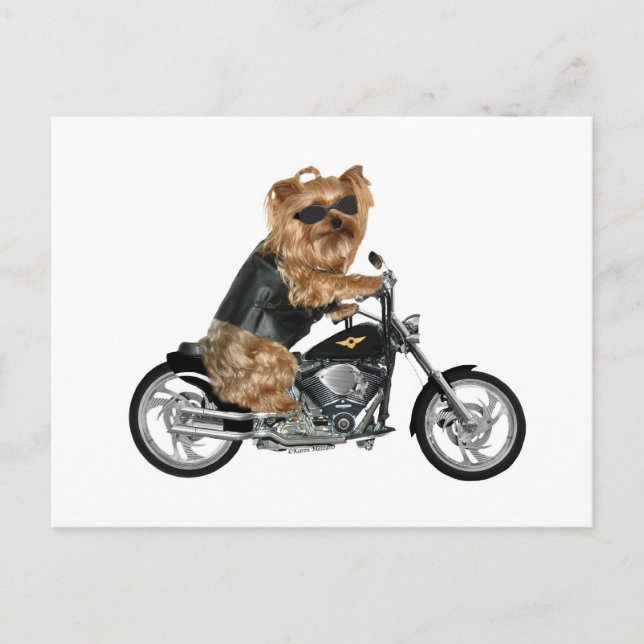 Yorkie Yorkshire Terrier Biker Vykort (Framsida)