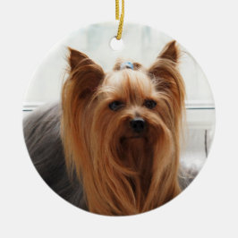 Yorkie Yorkshire Terrier Hund Julgransprydnad Keramik