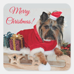 Yorkie Yorkshire Terrier Hund - jultomten Hat Fyrkantigt Klistermärke