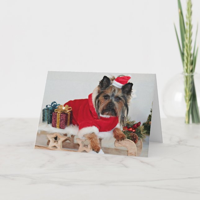 Yorkie Yorkshire Terrier-Hund - jultomten Helgkort (Framsida)