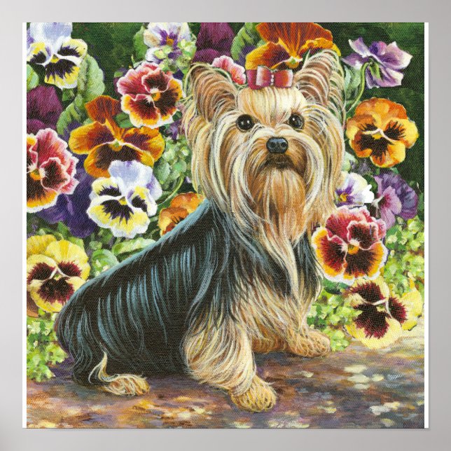 Yorkie Yorkshire Terrier in Pansies Print Poster (Framsidan)