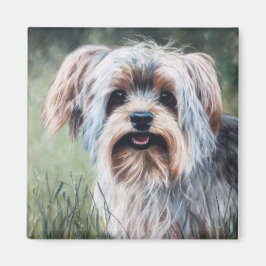Yorkie Yorkshire Terrier på sommargräs Magnet