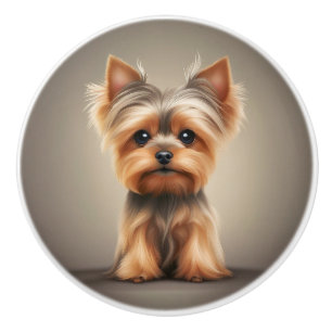 Yorkie Yorkshire Terrier Söt Hund Valp Knopp