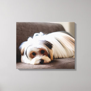Yorkie, Yorkshire Terrier, upplevt Ennui Canvastryck