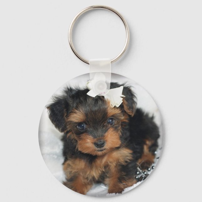 Yorkiepoo Nyckelring (Framsida)