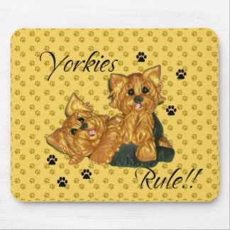 Yorkies härskar!!   Datormusen vadderar Musmatta
