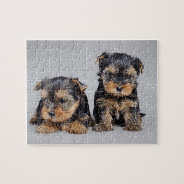 Yorkies Pussel (Horisontell)