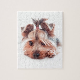 Yorkies Yorkshire för Yorkie hundkärlek Terrier Pussel