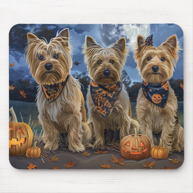 Yorkipoo Halloween Spooky Musmatta (Framsidan)