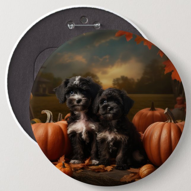 Yorkipoo Puppy Autumn Delight Pumpkin Knapp (Framsida & baksida)