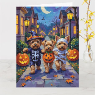 Yorkipoo som söker godis i halloween-kostymer kort