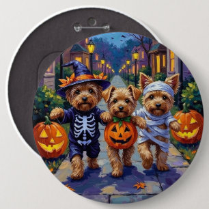 Yorkipoo som söker godis på Halloween Knapp