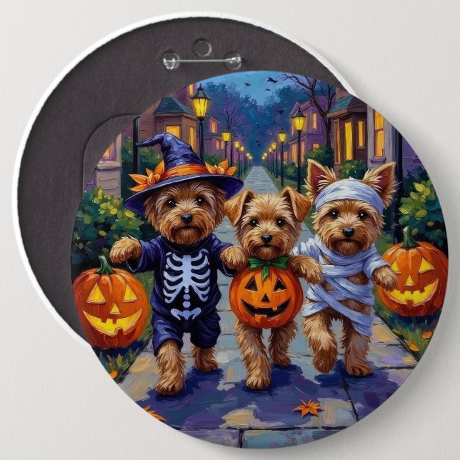 Yorkipoo som söker godis på Halloween Knapp (Framsida & baksida)