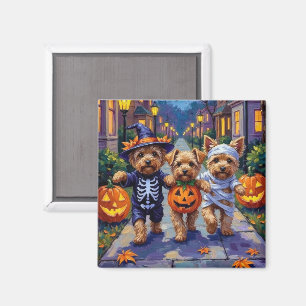 Yorkipoo som söker godis på Halloween Magnet