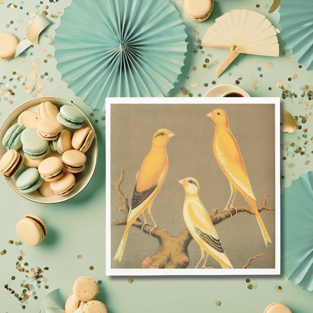 YORKSHIRE CANARIES PAPPERSSERVETT (Skapare uppladdad)