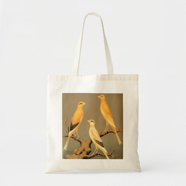 Yorkshire  canaries tygkasse (Framsidan)