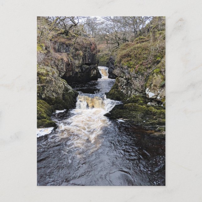 Yorkshire Dales, Ingleton - Rival Falls Vykort (Framsida)