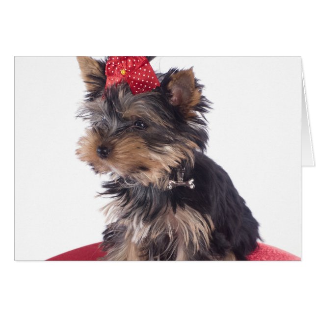 yorkshire hälsningskort (Framsidan Horizontal)