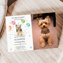 Yorkshire Lets Hund Pawty Puppy Birthday Rosa Phot