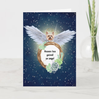 Yorkshire skräcker angel succulents wandeand night kort