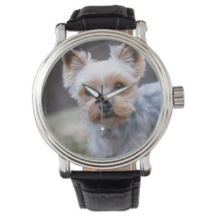 Yorkshire skräcker, Hund, Pet Armbandsur
