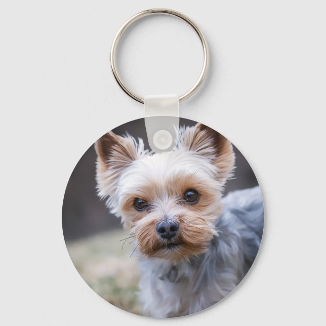 Yorkshire skräcker, Hund, Pet Nyckelring (Framsida)